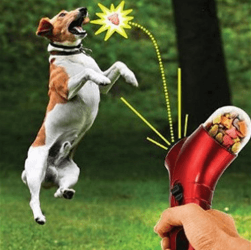 Pet Food Catapult Feeder Funny Dog Toy - BUNNY BAZAR