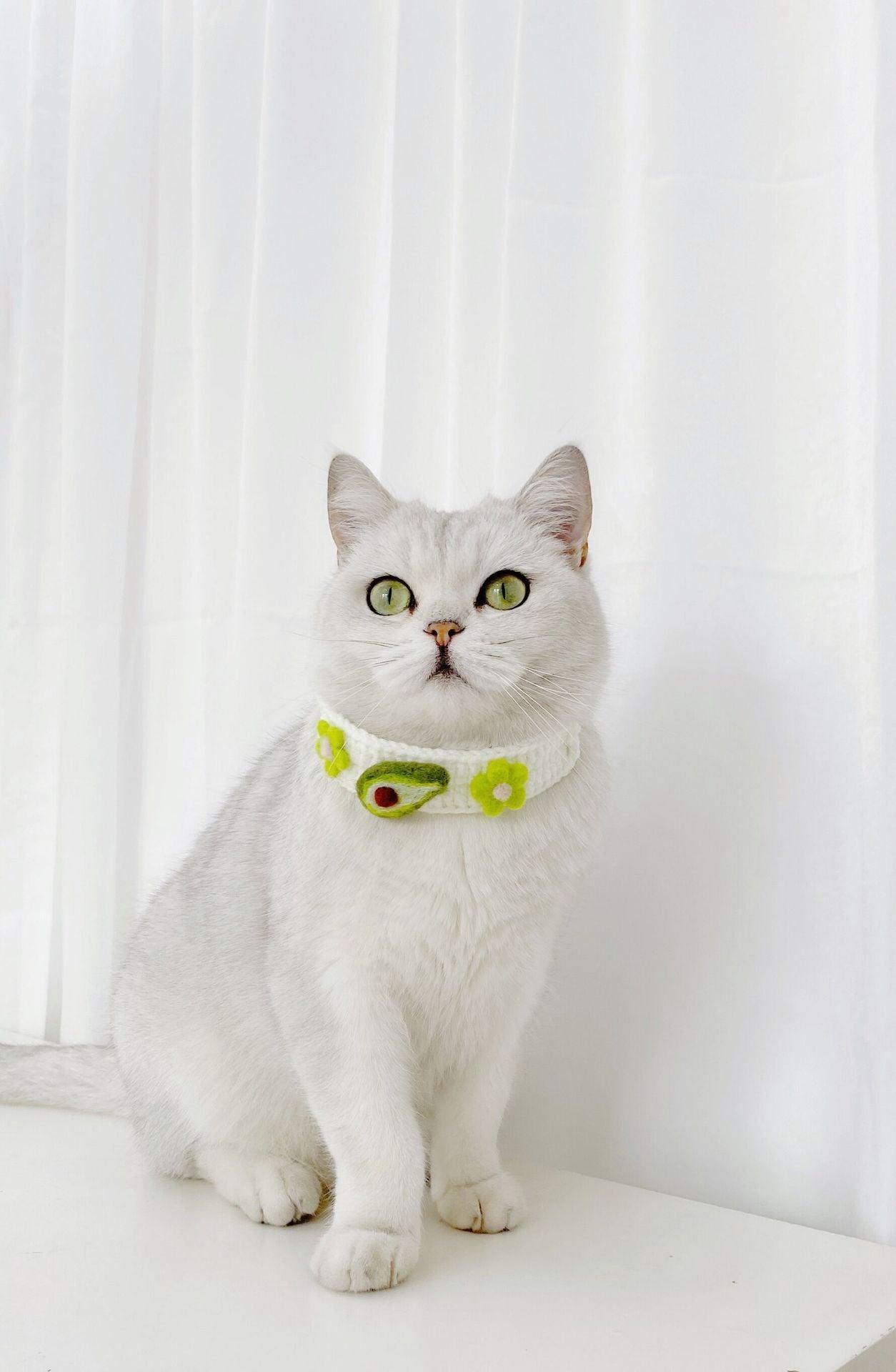 Pet Knitted Wool Felt Daisy Flower Bee Pumpkin Fruit Strap Cute Cat Collar Foreign Trade Customization - BUNNY BAZAR