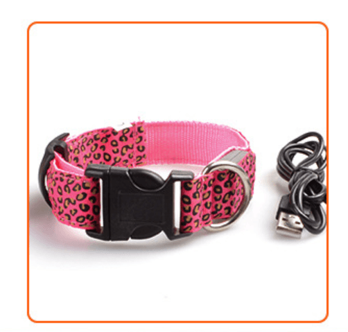 Rechargeable LED Dog Band - BUNNY BAZAR