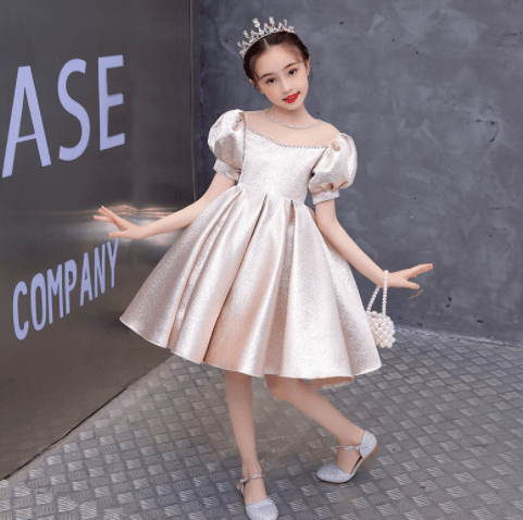 Puff Sleeve Style Girl Princess Dress Little Girl Catwalk - BUNNY BAZAR