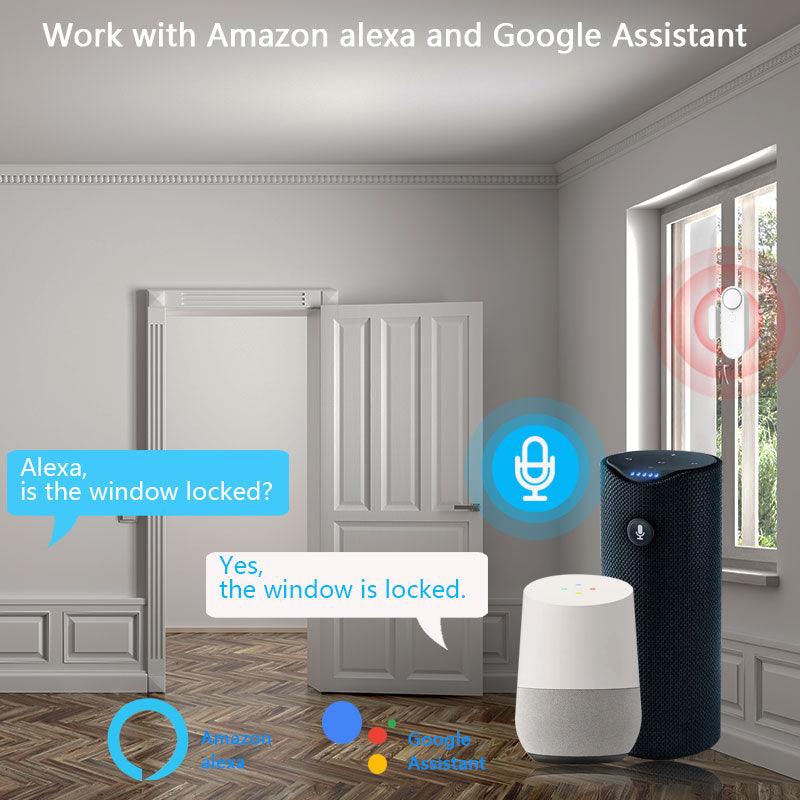 Smart Home Door And Window Sensing Alarm - BUNNY BAZAR