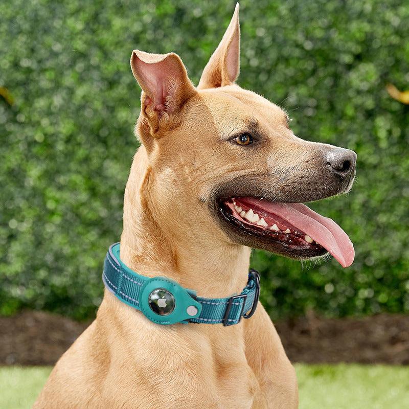 Convenient Tracker Pet Special Collar Cover Pet Loss Prevention Collar - BUNNY BAZAR