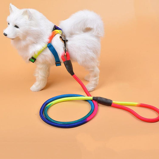 Colorful Nylon Round Hand Holding Dog Rope Pets Supplies - BUNNY BAZAR