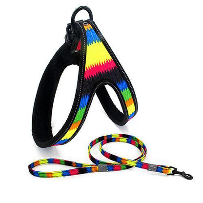 Colorful Dog Leash Dog Walking Rope Small And Medium-sized Dog Explosion-proof Dog Chain - BUNNY BAZAR