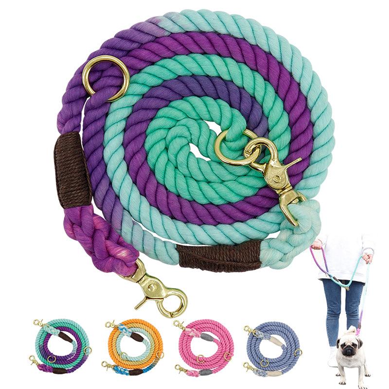 Two-In-One Drag Two Double-Headed Double Dog Walking Dog Rope Half-Chain Collar Small Dog - BUNNY BAZAR