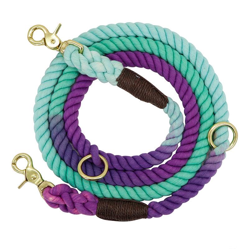 Two-In-One Drag Two Double-Headed Double Dog Walking Dog Rope Half-Chain Collar Small Dog - BUNNY BAZAR