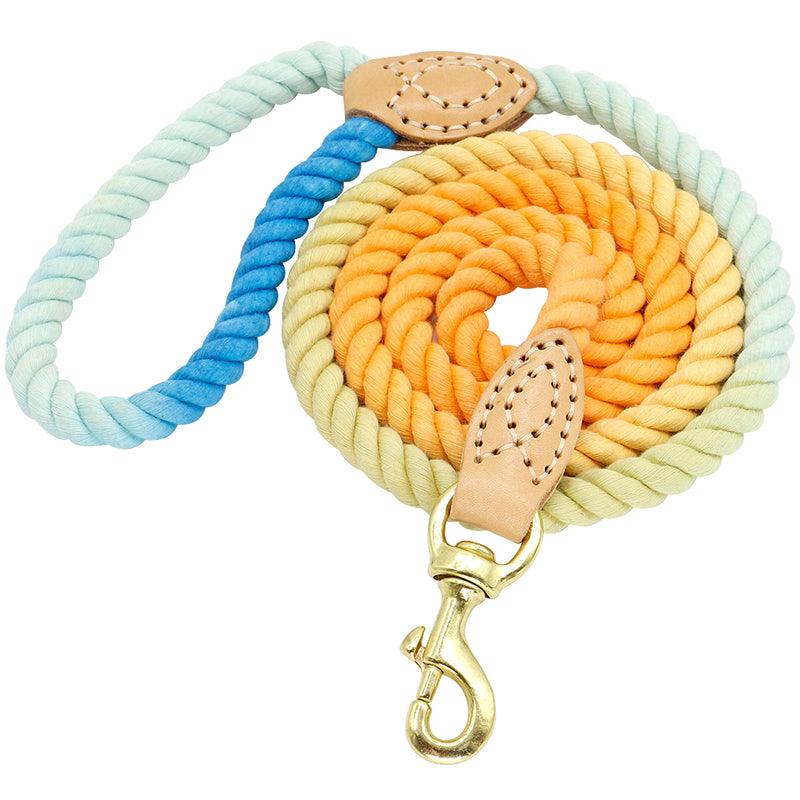 Two-In-One Drag Two Double-Headed Double Dog Walking Dog Rope Half-Chain Collar Small Dog - BUNNY BAZAR