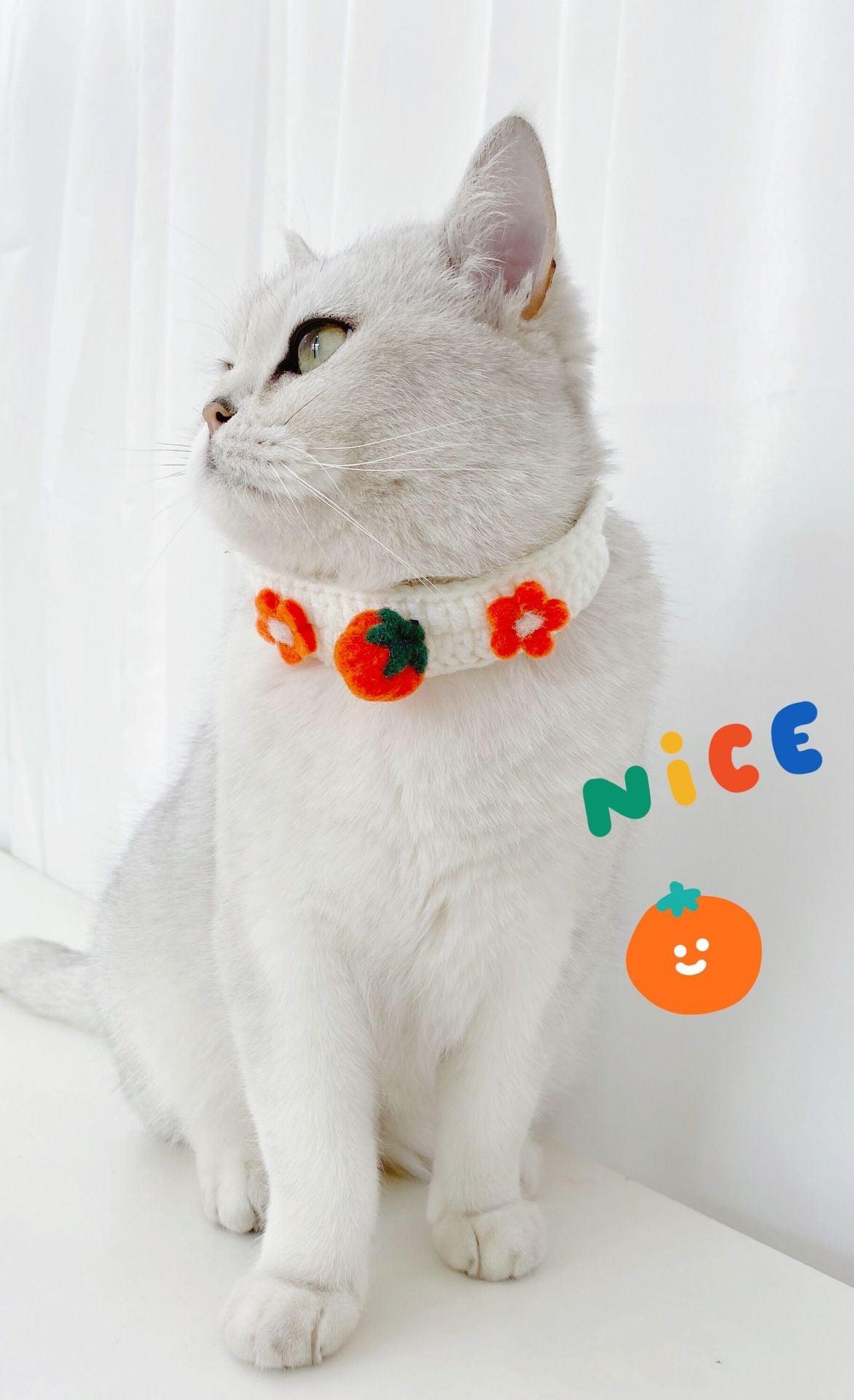 Pet Knitted Wool Felt Daisy Flower Bee Pumpkin Fruit Strap Cute Cat Collar Foreign Trade Customization - BUNNY BAZAR