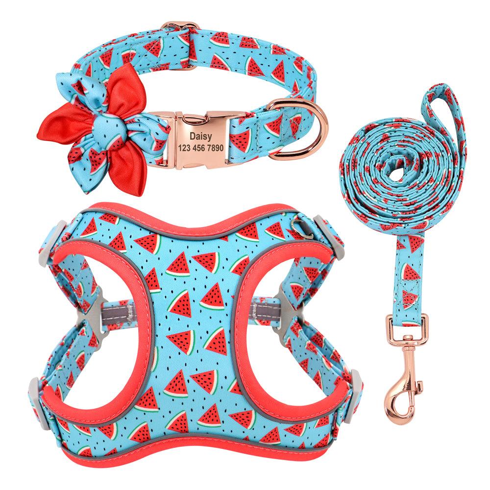 Dog Leash Small Dog Teddy Corgi Supplies Collar - BUNNY BAZAR