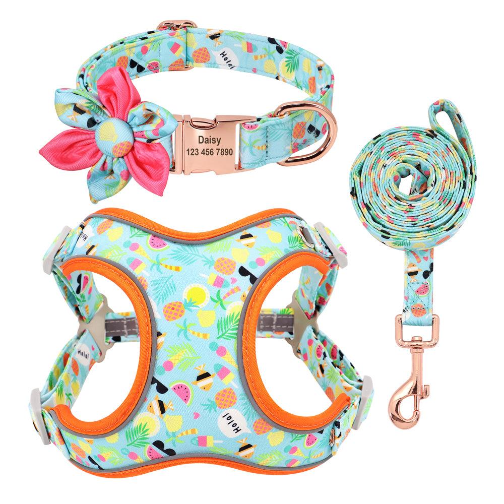 Dog Leash Small Dog Teddy Corgi Supplies Collar - BUNNY BAZAR