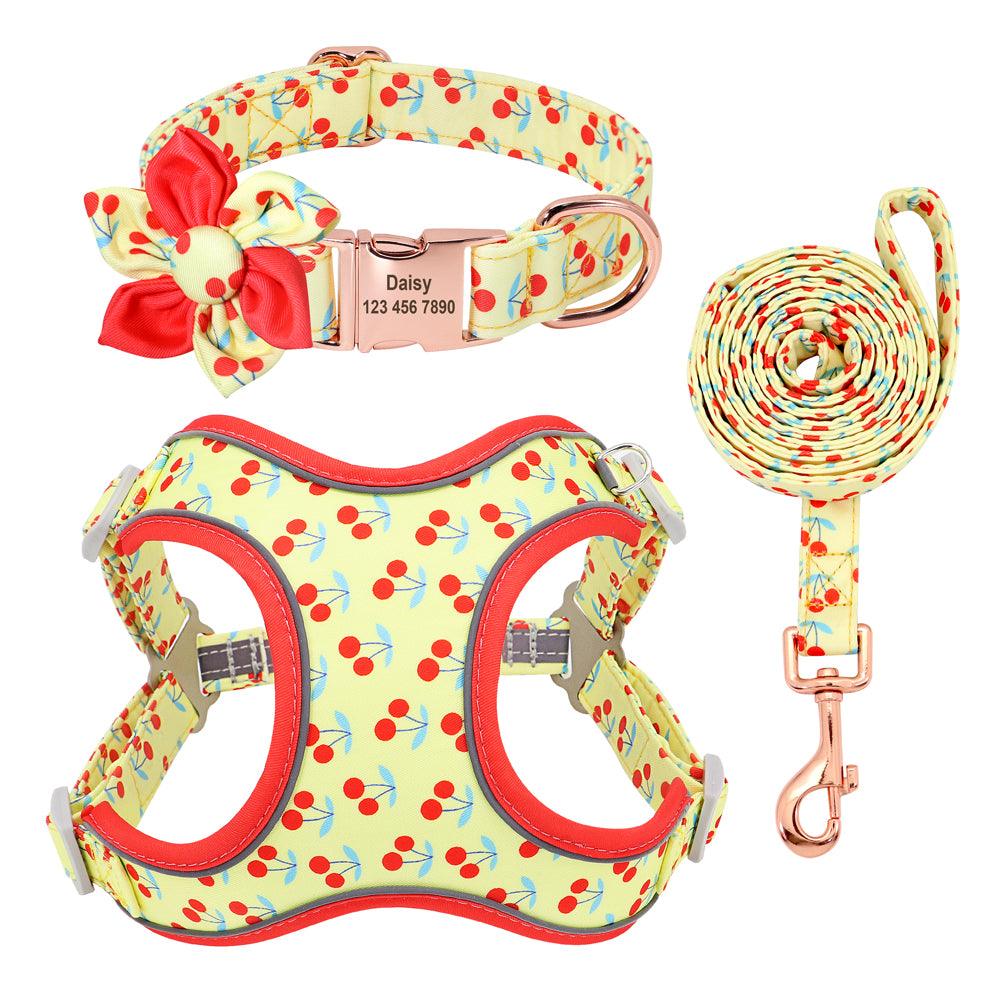 Dog Leash Small Dog Teddy Corgi Supplies Collar - BUNNY BAZAR