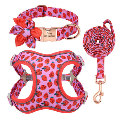 Dog Leash Small Dog Teddy Corgi Supplies Collar - BUNNY BAZAR