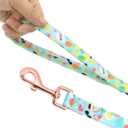 Dog Leash Small Dog Teddy Corgi Supplies Collar - BUNNY BAZAR