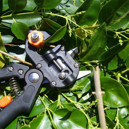 Grafting Shears For Gardening - BUNNY BAZAR