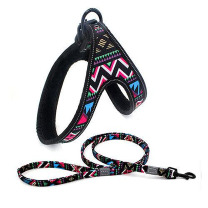 Colorful Dog Leash Dog Walking Rope Small And Medium-sized Dog Explosion-proof Dog Chain - BUNNY BAZAR