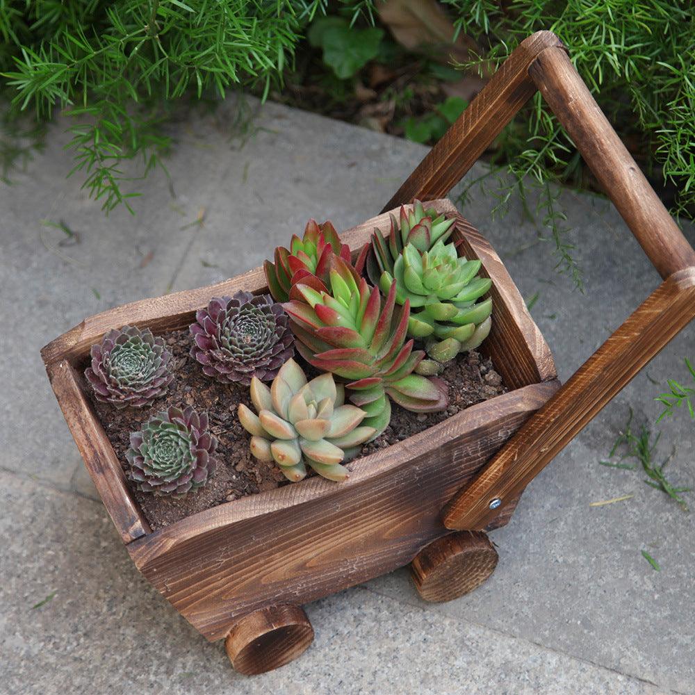 Succulent Flower Pot - BUNNY BAZAR