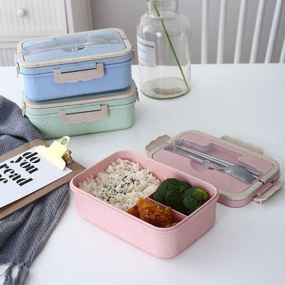 Student Lunch Box Three Grid Plastic Lunch Box Lunch Box - BUNNY BAZAR