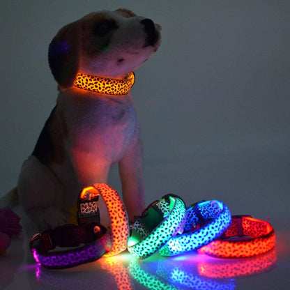 Rechargeable LED Dog Band - BUNNY BAZAR