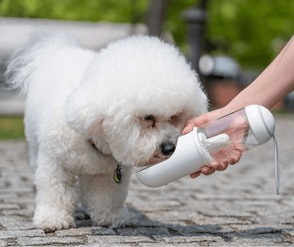 Outdoor travel water bottle for pets out cup - BUNNY BAZAR