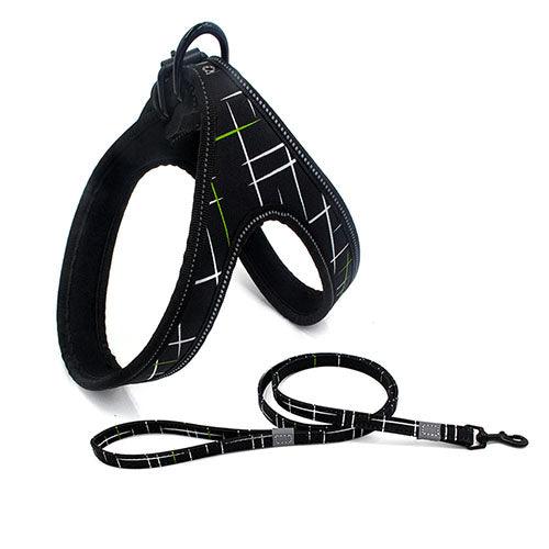 Colorful Dog Leash Dog Walking Rope Small And Medium-sized Dog Explosion-proof Dog Chain - BUNNY BAZAR