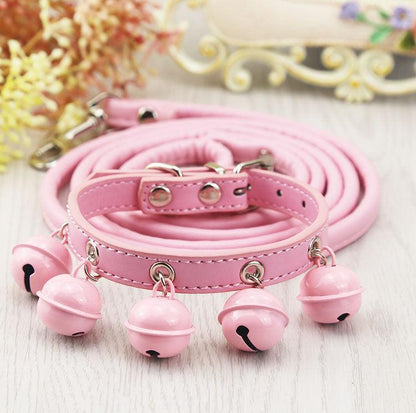 Pet collar - BUNNY BAZAR