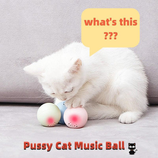 New Self-Hi Pussy Cat Music Ball Sounds And Bites Toys - BUNNY BAZAR