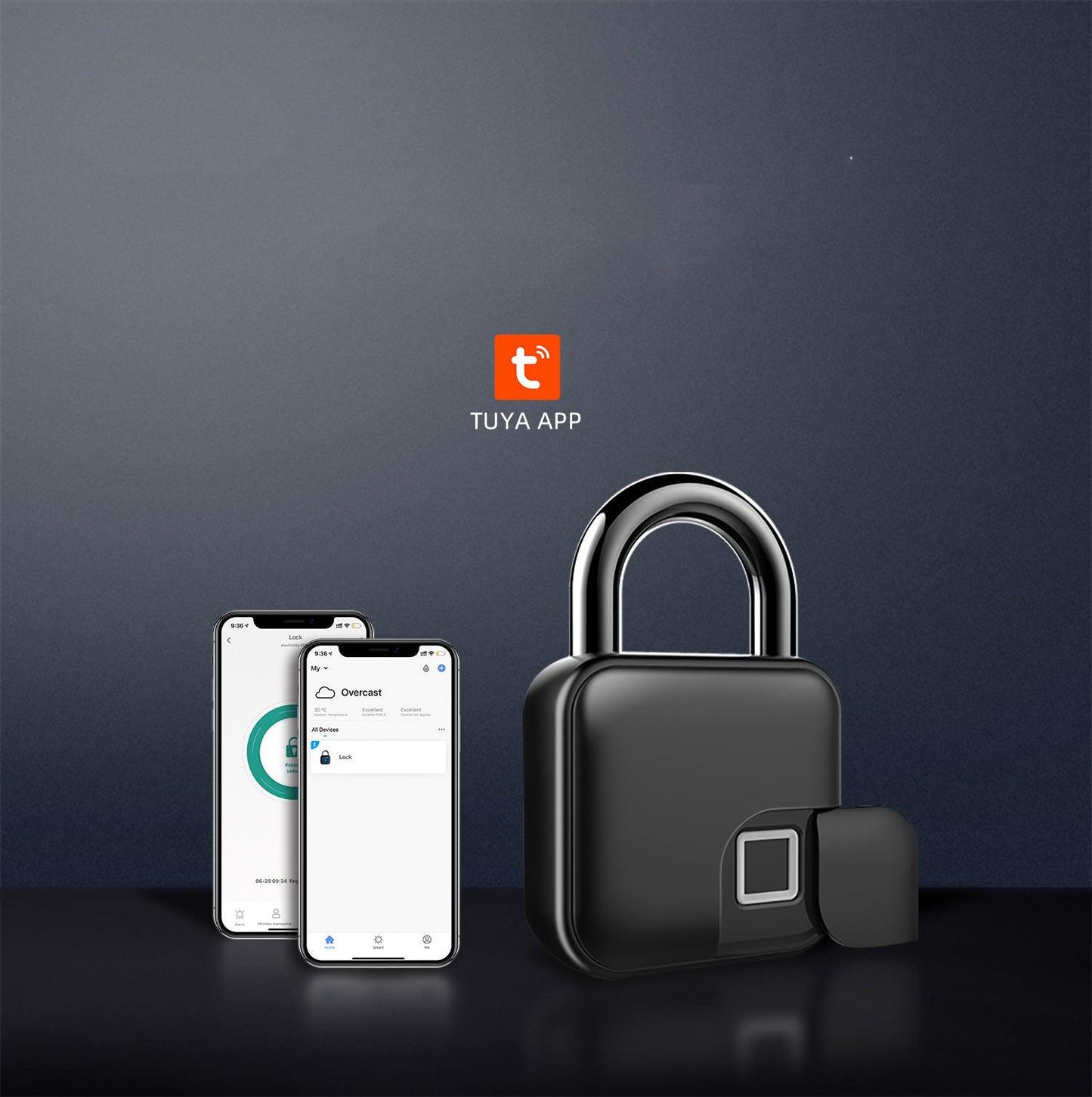 Smart Padlock Fingerprint Cabinet Lock Cabinet - BUNNY BAZAR